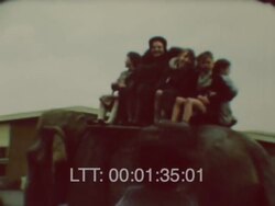 Bellevue Zoo, Manchester Stock Footage