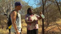 Cooking a Honey Ant Feast Instructional Video