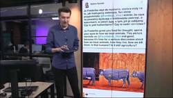 Polish MEP sparks outrage over Nazi prison uniform cattle tweet | #TheCube News Clip