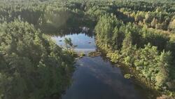 Jewel of the Baltics: Estonia's Tallin Unveiled by Drone Stock Footage