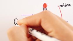 Eye vs Camera _ GCSE Physics Instructional Video