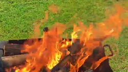 Beautiful red fire Stock Footage