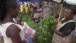 CLEAN : Kenyan women protest market closure over coronavirus fears News Clip