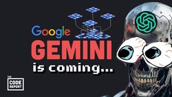 Training and Performance of Google's Gemini Instructional Video