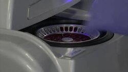 Corinavirus Testing - Laboratory Analysis News Clip