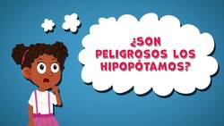 I WONDER - Are Hippos Dangerous? Me Pregunto - Son Peligrosos Los Hipopótamos? Instructional Video