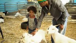 Family visited an organic farm Stock Footage