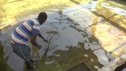 CLEAN : Coronavirus: Senegal's shellfish farmers feeling the pinch News Clip