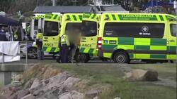 Tourists killed in New Zealand volcano eruption News Clip