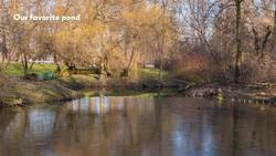 How We Find Our Microbes Instructional Video