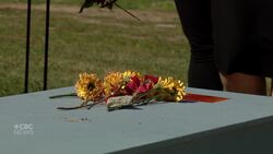 Meet the Ontarians who volunteered as pallbearers for an unclaimed body News Clip