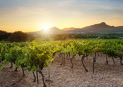 The Elements: Nitrogen Instructional Video