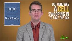 We Just Found Out Fat Cells Can Move! Instructional Video