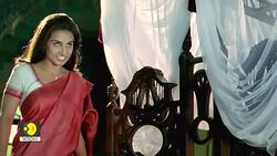 'Bhool Bhulaiyaa 3' to 'Stree 2': Horror comedies that dominated Bollywood Instructional Video