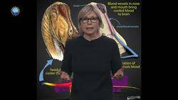 4 Awesome Discoveries You Probably Didn’t Hear About - Episode 35 Instructional Video