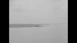 Men round up wild horses  on Assateague Island and drive them to Chincoteague Island, VA, 1937 News Clip