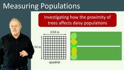 Measuring Populations: Investigating the Distribution of Daisies with Distance from Trees Instructional Video