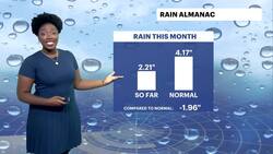 Sunny and warm with an isolated shower this afternoon for Brooklyn News Clip