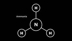 TED: The carbonless fuel that could change how we ship goods | Maria Gallucci Instructional Video