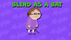 I WONDER - How Can Bats See At Night? Instructional Video