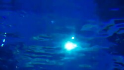 Underwater rays Stock Footage