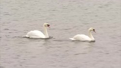 Excel Centre London News Clip