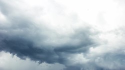 The Impact of Acid Rain Instructional Video