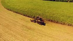 Sugar cane harvest. Aerial view of a 'canavial'. Stock Footage