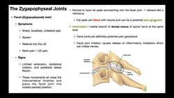 Cervical Facet Joints Anatomy & Dysfunction Instructional Video