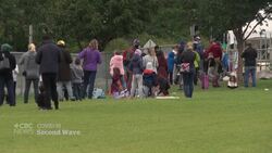 Ontario scrambles to increase testing as backlog tops 82K News Clip