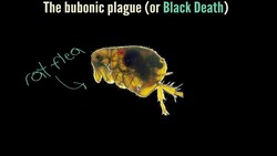 Hamlet 2.2 Dig Deeper: Elizabethans Outdoors Instructional Video