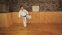 How to Do Side Kicks in Karate Instructional Video