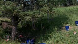 Archaeological study digs into the daily life of an influential Alberta cowboy Instructional Video