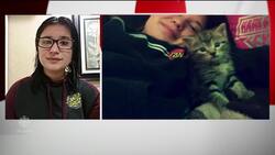 The cat came back ... after 4 years and more than 4,000 km News Clip