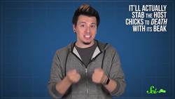 Broods, Brains, and Blood: Where Won’t Parasites Go? | Compilation Instructional Video