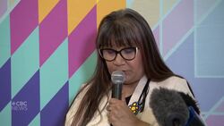 Serious injuries involving kids in care under-reported: youth advocate News Clip