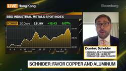 Broad Exposure to Commodities Highly Warranted: UBS's Schnider News Clip