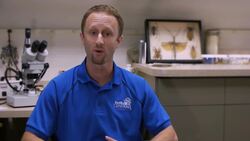 How to Kill Bed Bugs Instructional Video