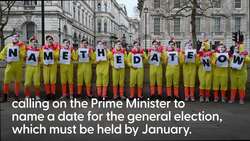 Poultry turnout for Labour Downing Street stunt calling for general election date News Clip