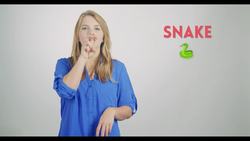 ASL- Pets and Ocean Animals Vocabulary Instructional Video