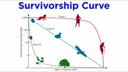 Population Ecology (Life Tables, Age Structure, Population Growth) Instructional Video