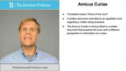 Amicus Curiae Instructional Video