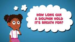 I WONDER - How Long Can A Dolphin Hold It's Breath For? Instructional Video