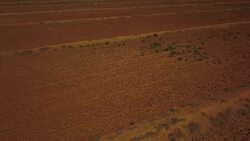 Drought and arid conditions affect ostrich farmers News Clip