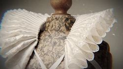 Why Did Elizabethan Collars Get So Big? Instructional Video