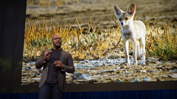 TED: How life on Earth adapts to you and me | Shane Campbell-Staton Instructional Video