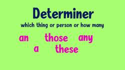 Mastering Adjective Order in Language Instructional Video