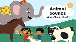 Whats that sound? Instructional Video