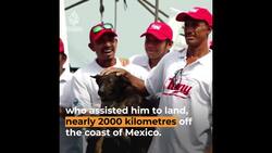 Australian man rescued after 3 months adrift in ocean off Mexico News Clip