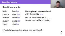 Changing nouns from singular to plural Instructional Video